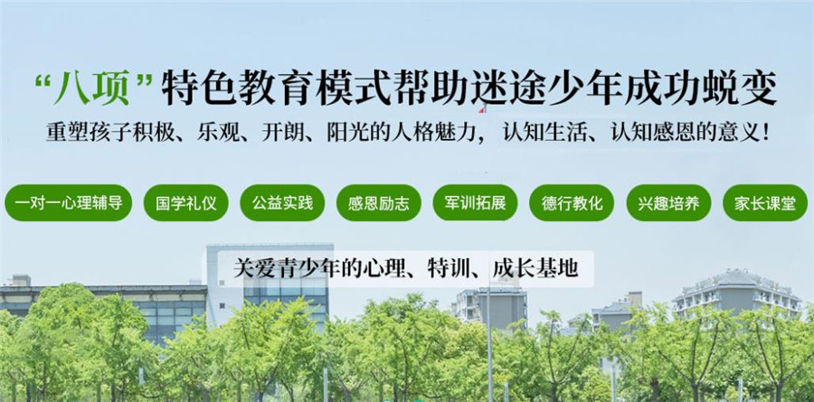 2025年:揭秘戒網(wǎng)癮學(xué)校合法性及名人背后的故事